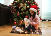 How to Make Christmas Photos with Pets That Actually Work