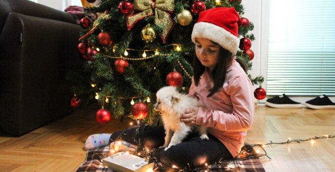 Photo Christmas Photos with Pets