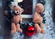 How to Choose Safe Christmas Toys and Gifts for Your Pet How to Choose Safe Christmas Toys and Gifts for Your Pet