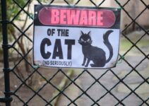 How to Prevent Your Pet from Escaping During Holiday Visitors