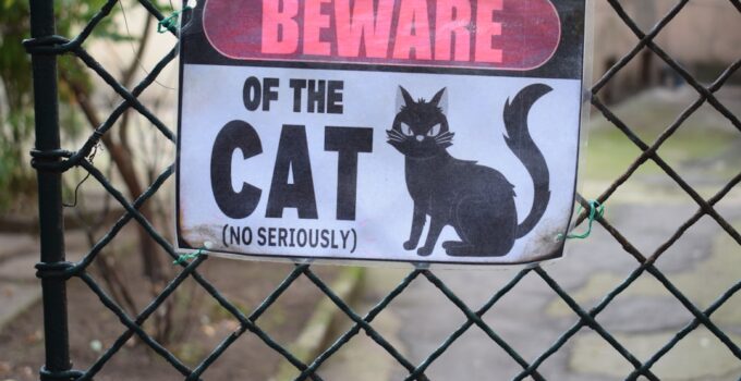 Photo Prevent Pet Escaping