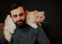 How to Manage Multiple Pets During Christmas Family Gatherings