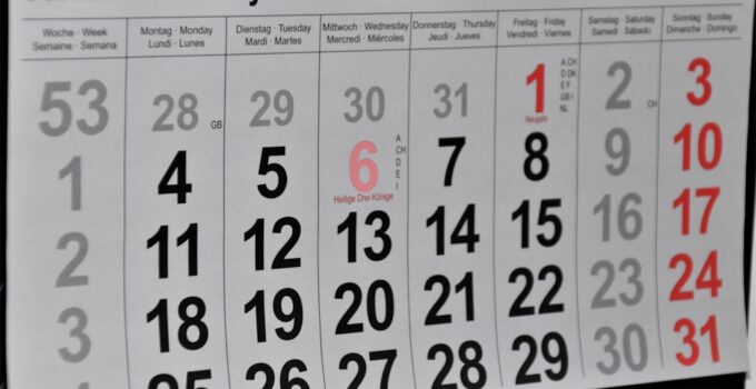 Photo DIY Pet Advent Calendar