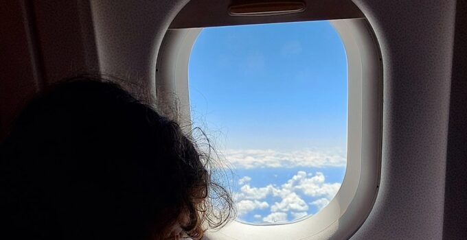 Photo Travel with Pet by Plane