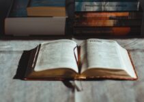 How to Read Poetry and Actually Enjoy It How to Read Poetry and Actually Enjoy It