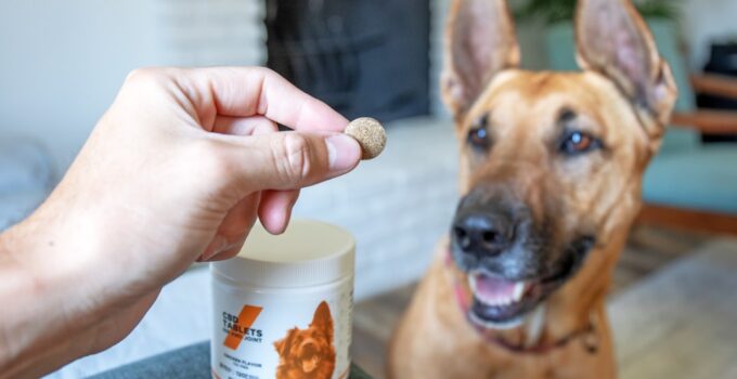 Photo Pet Care