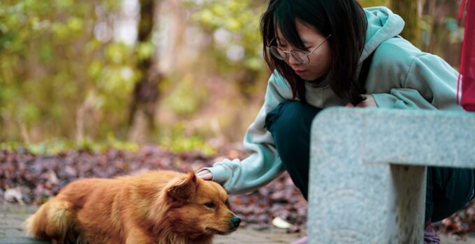 Photo Train a Pet Using Positive Reinforcement