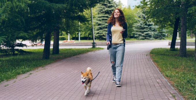 Photo Exercise Pet Energy Level