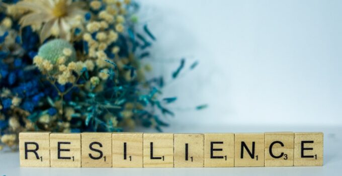 Photo Resilience