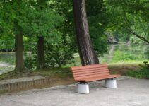 How to Create a Safe Outdoor Space for Your Pet How to Create a Safe Outdoor Space for Your Pet