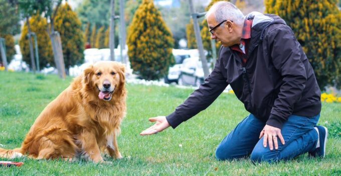 Photo Senior Pets Care