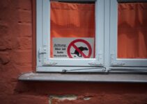 How to Keep Your Pet Safe During Holidays How to Keep Your Pet Safe During Holidays