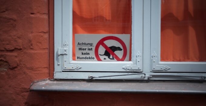 Photo Pet Safety