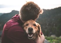 How to Build a Strong Bond With Your Pet