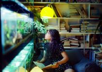 How to Start a Personal Library on a Budget How to Start a Personal Library on a Budget
