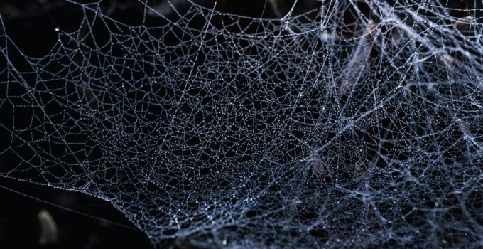 Photo Dark Web Safely