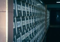 Organizing Your Files for Long-Term Success: How to Name Them Effectively