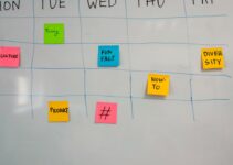 Mastering Email Timing: How to Schedule the Perfect Send
