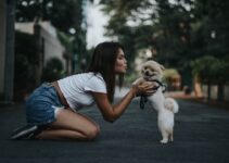 How to Choose Between Adopting and Buying a Pet How to Choose Between Adopting and Buying a Pet