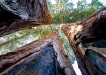 How to Build Resilience and Bounce Back Stronger From Any Setback How to Build Resilience and Bounce Back Stronger From Any Setback