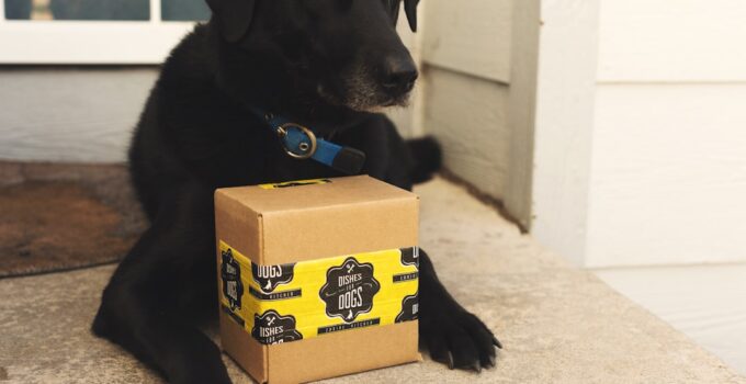 Photo Crate Size for Dog