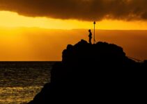 How to Overcome Fear and Take Action Toward Your Biggest Dreams How to Overcome Fear and Take Action Toward Your Biggest Dreams