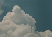 Maximizing Data Security with Cloud Backup