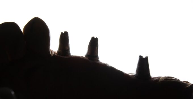 Photo Trim Dog Nails