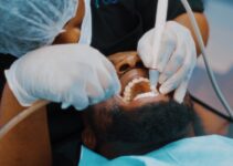 How to Prevent Common Dental Problems in Dogs and Cats