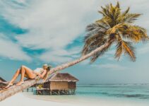 How to Plan the Perfect Vacation When You Have Pets at Home How to Plan the Perfect Vacation When You Have Pets at Home