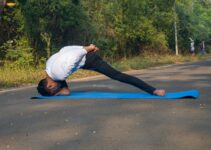 How to Build a Daily Exercise Routine for Your Dog Based on Its Breed