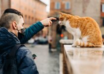 How to Teach Children How to Interact Safely and Kindly With Pets How to Teach Children How to Interact Safely and Kindly With Pets