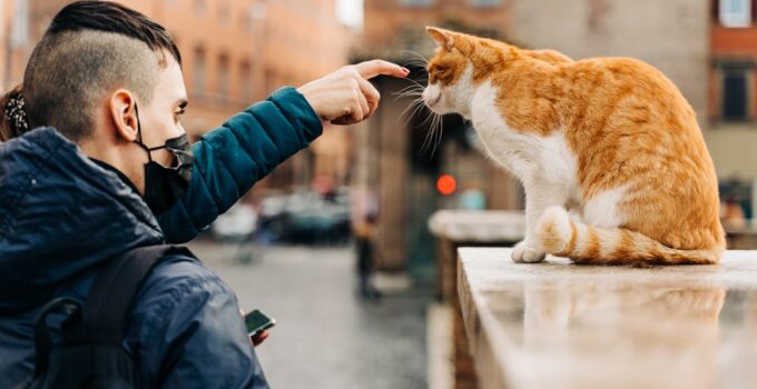 Photo Teach Children Interact Safely Kindly Pets