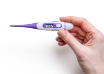 How to Spot the Early Signs of Common Diseases in Dogs and Cats