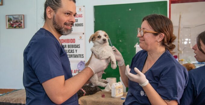 Photo Low-Stress Vet Visit Experience