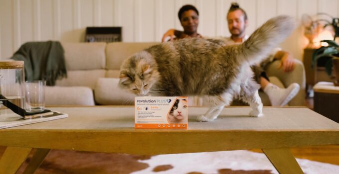 Photo First Aid Kit for Pets