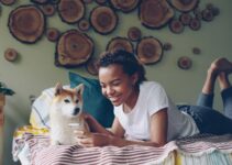 How to Choose the Right Pet Insurance Plan and Understand What It Covers