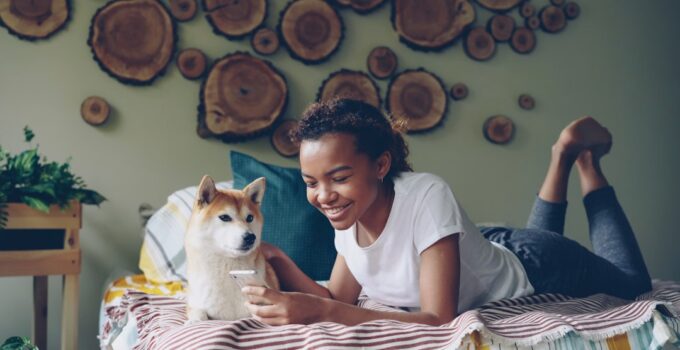 Photo Pet Insurance Plan