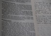 Mastering Beautiful Penmanship as an Adult