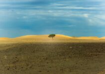How to bounce back from failure and build resilience How to bounce back from failure and build resilience