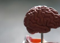 How to improve your memory and cognitive function How to improve your memory and cognitive function