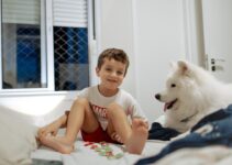 How to Groom Your Dog at Home Like a Professional