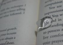 How to Find and Live Your True Life Purpose How to Find and Live Your True Life Purpose