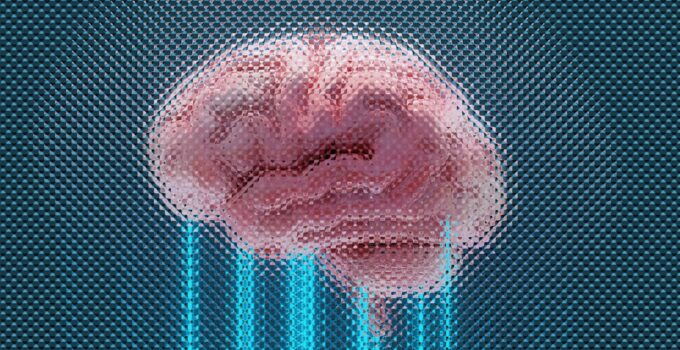 How to Understand How the Human Brain Stores and Retrieves Memories