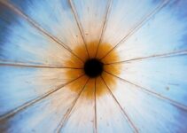 How to Build Deep Focus and Eliminate Distractions for Good How to Build Deep Focus and Eliminate Distractions for Good