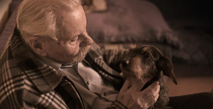 Photo Senior Dog Care