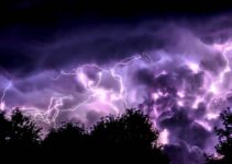 How to Help Your Pet Handle Thunderstorms and Fireworks How to Help Your Pet Handle Thunderstorms and Fireworks