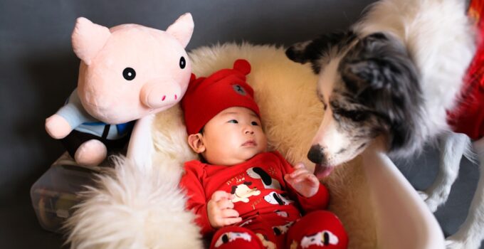 Photo Introduce Baby to Pet