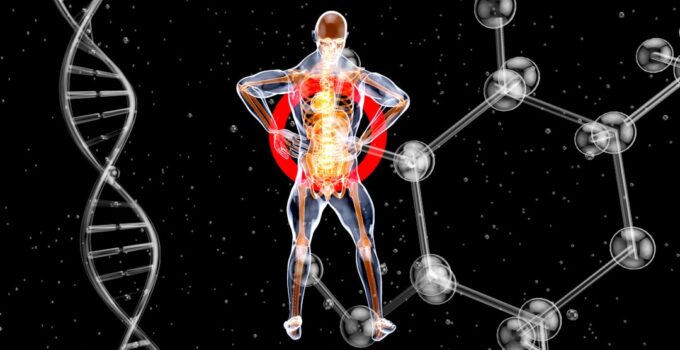 How to Learn About the Most Curious Facts About the Human Body