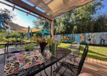 How to Create a Safe Outdoor Space for Your Cat to Explore How to Create a Safe Outdoor Space for Your Cat to Explore